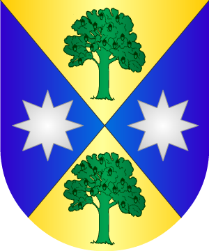 ESCUDO SIGUIENTE